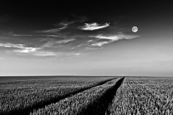 Photograph Niels Christian Wulff He Drove All Night on One Eyeland